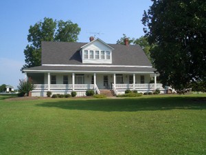 Pine Wide Plank Flooring - Farmhouse